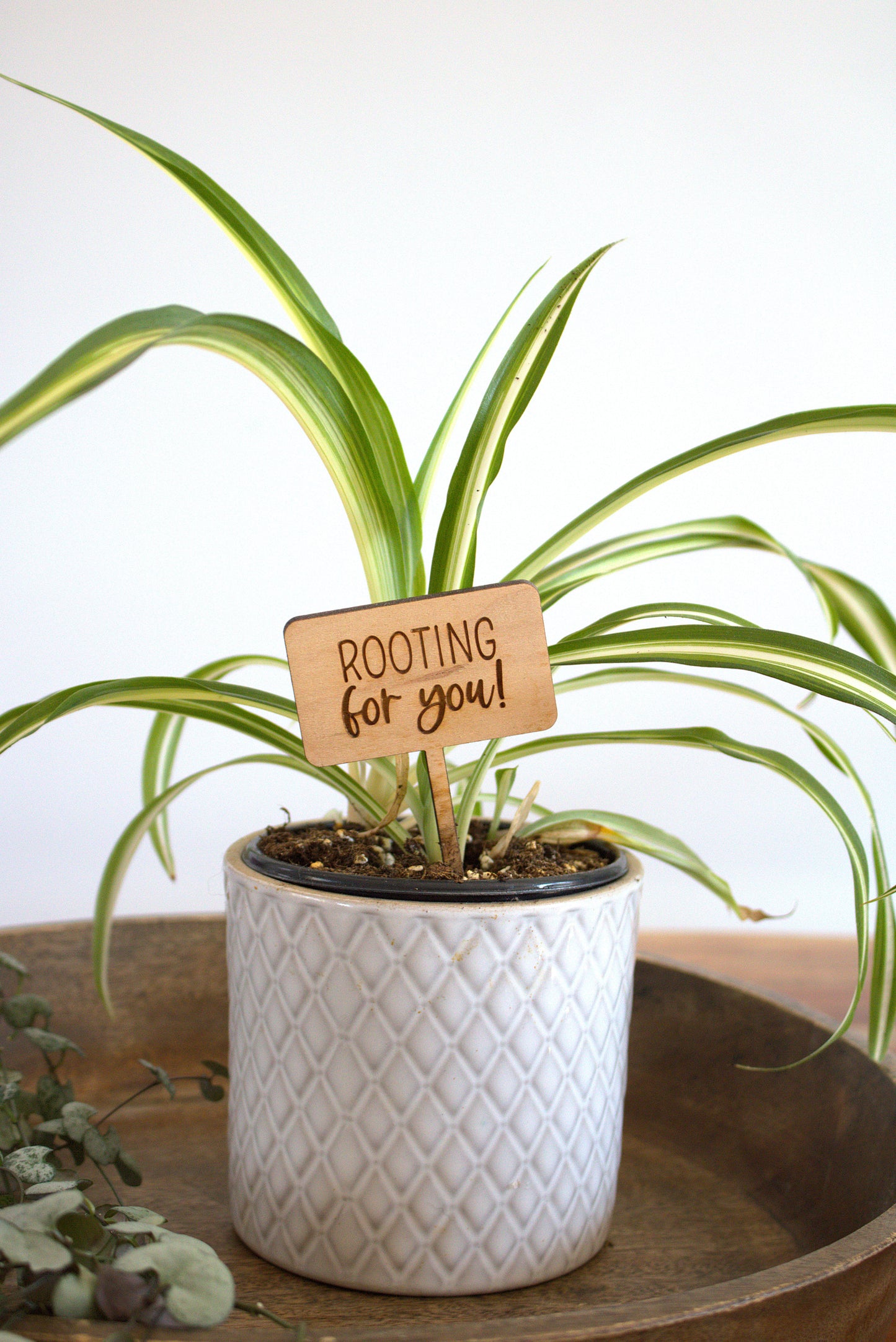 Rooting For You Plant Marker