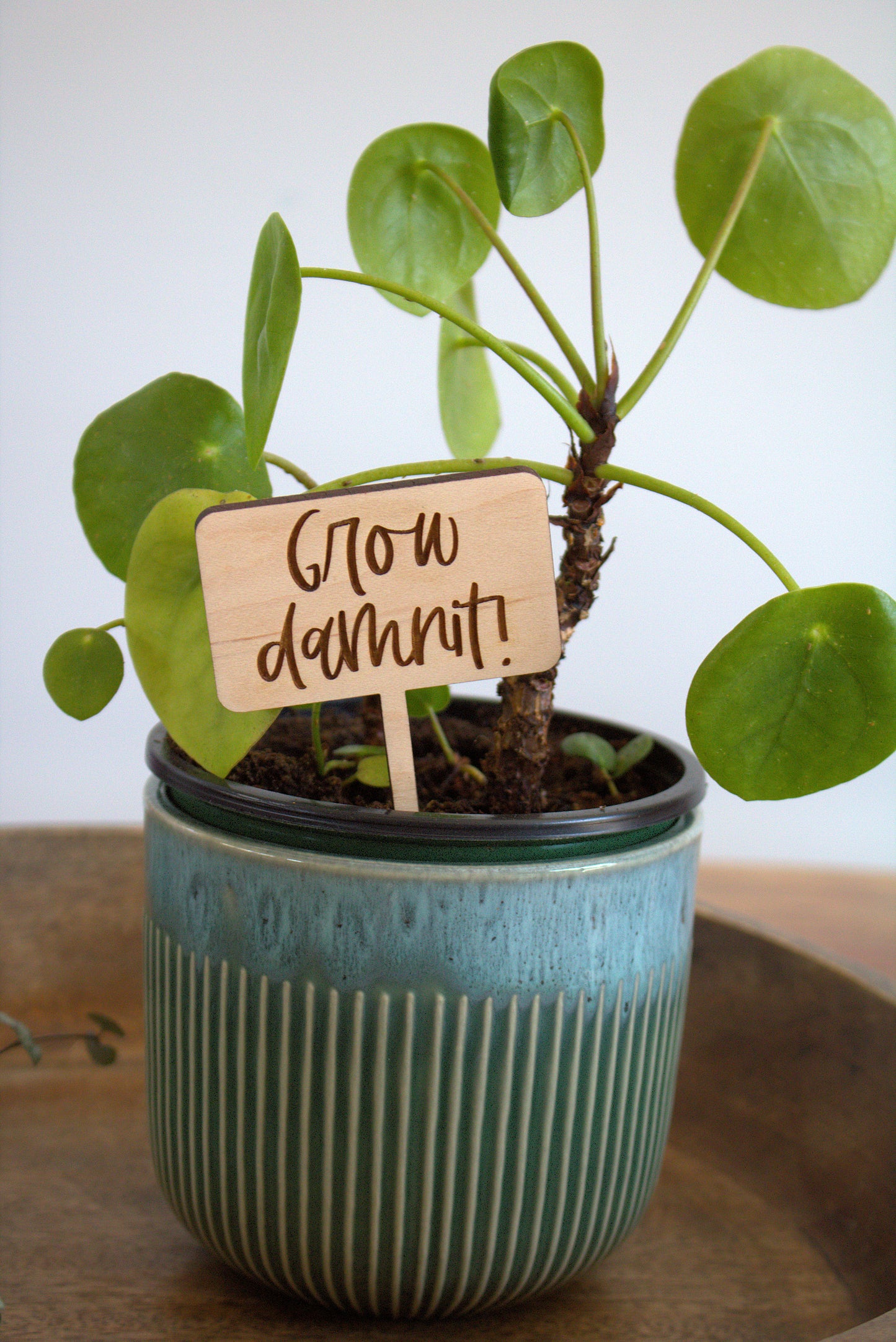 Grow Damnit! Plant Pick