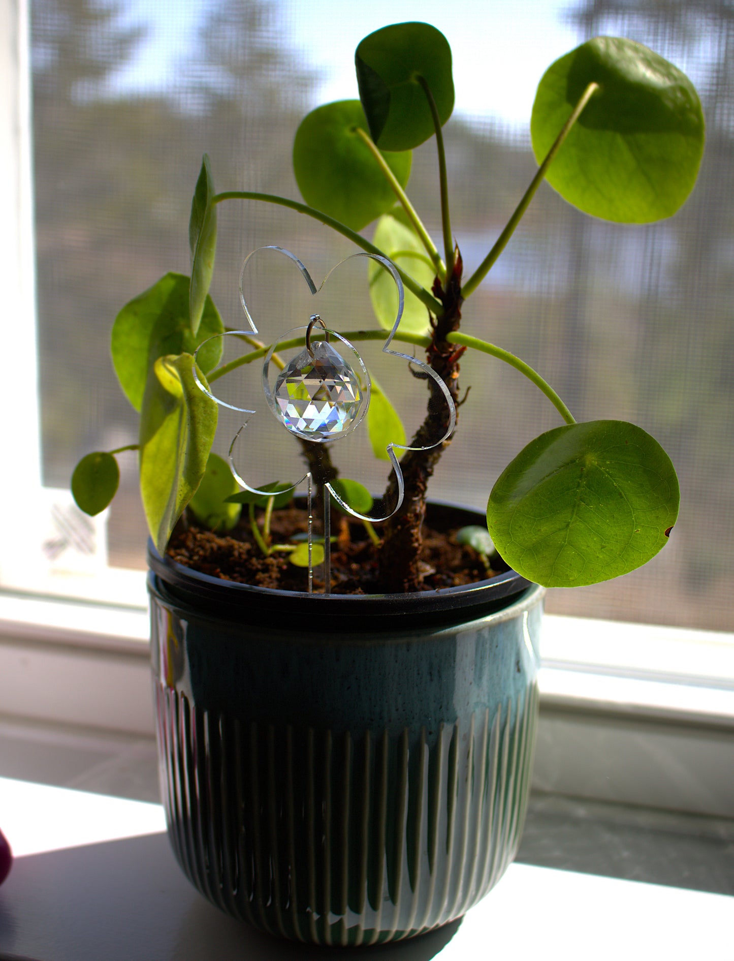 Prism Plant Suncatcher