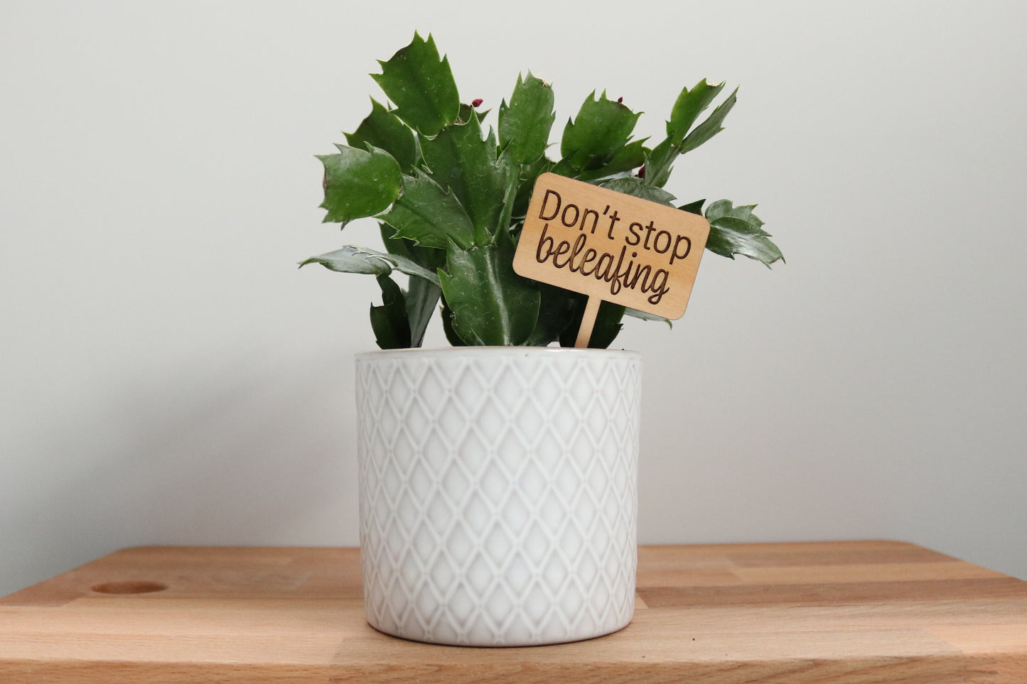 Don't Stop Beleafing Plant Marker