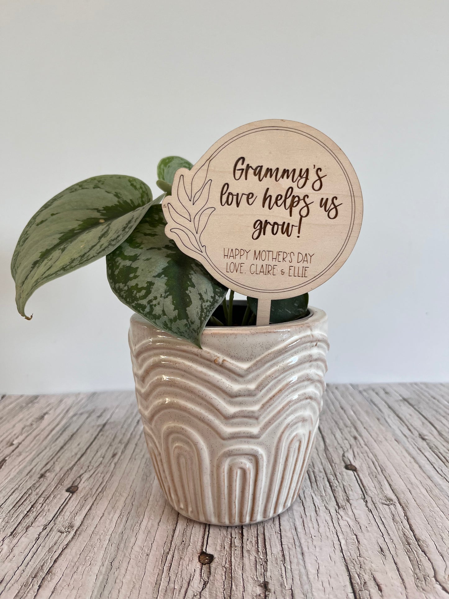 Mother's Day Plant Pick