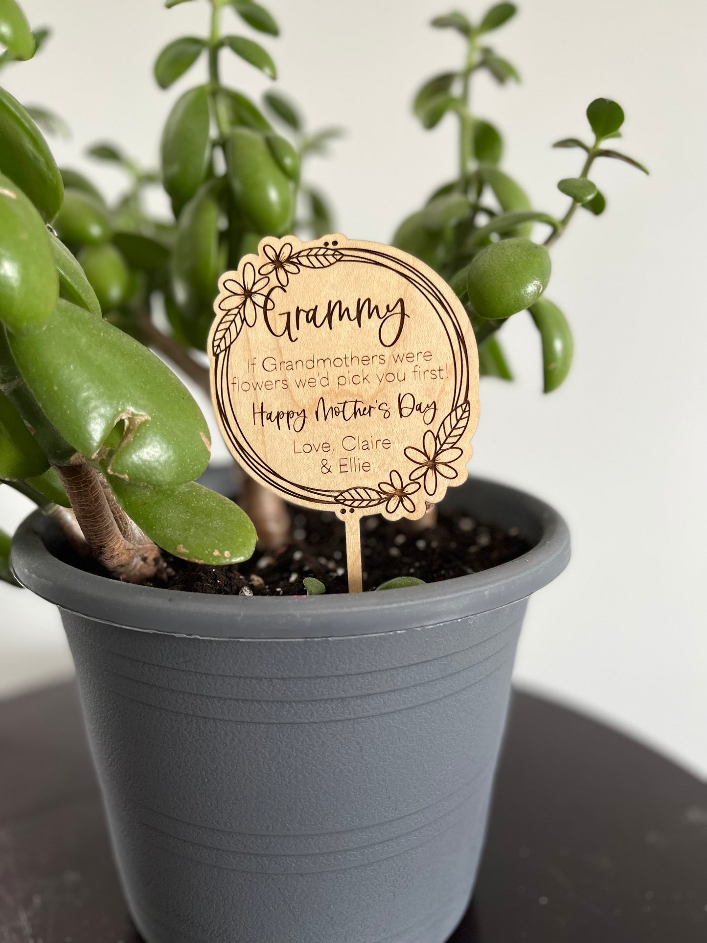 Mother's Day Plant Pick