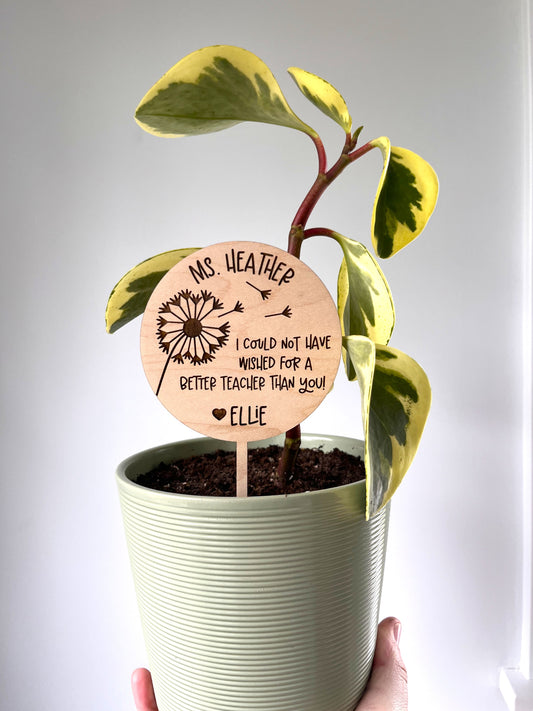 Personalized Teacher Plant Pick