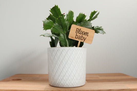 Bloom Baby Plant Marker
