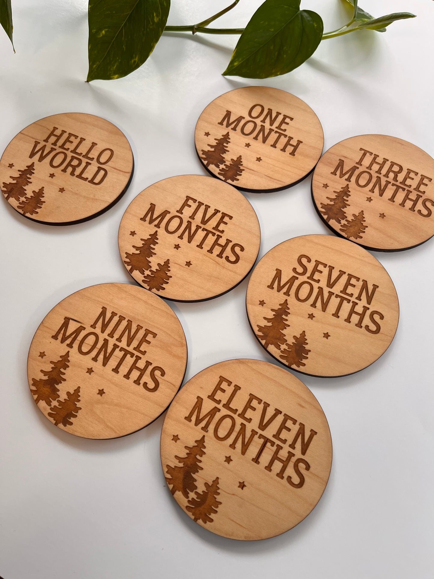 Tree & Stars Monthly Milestone Markers
