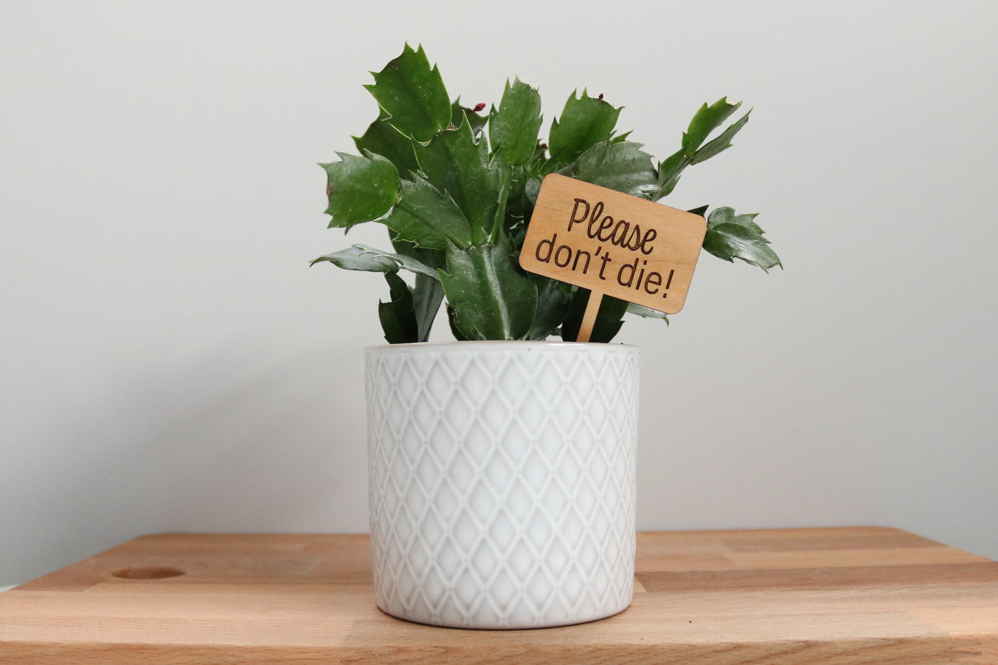 Please Don't Die Plant Marker