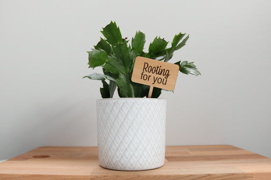 Rooting For You Plant Marker
