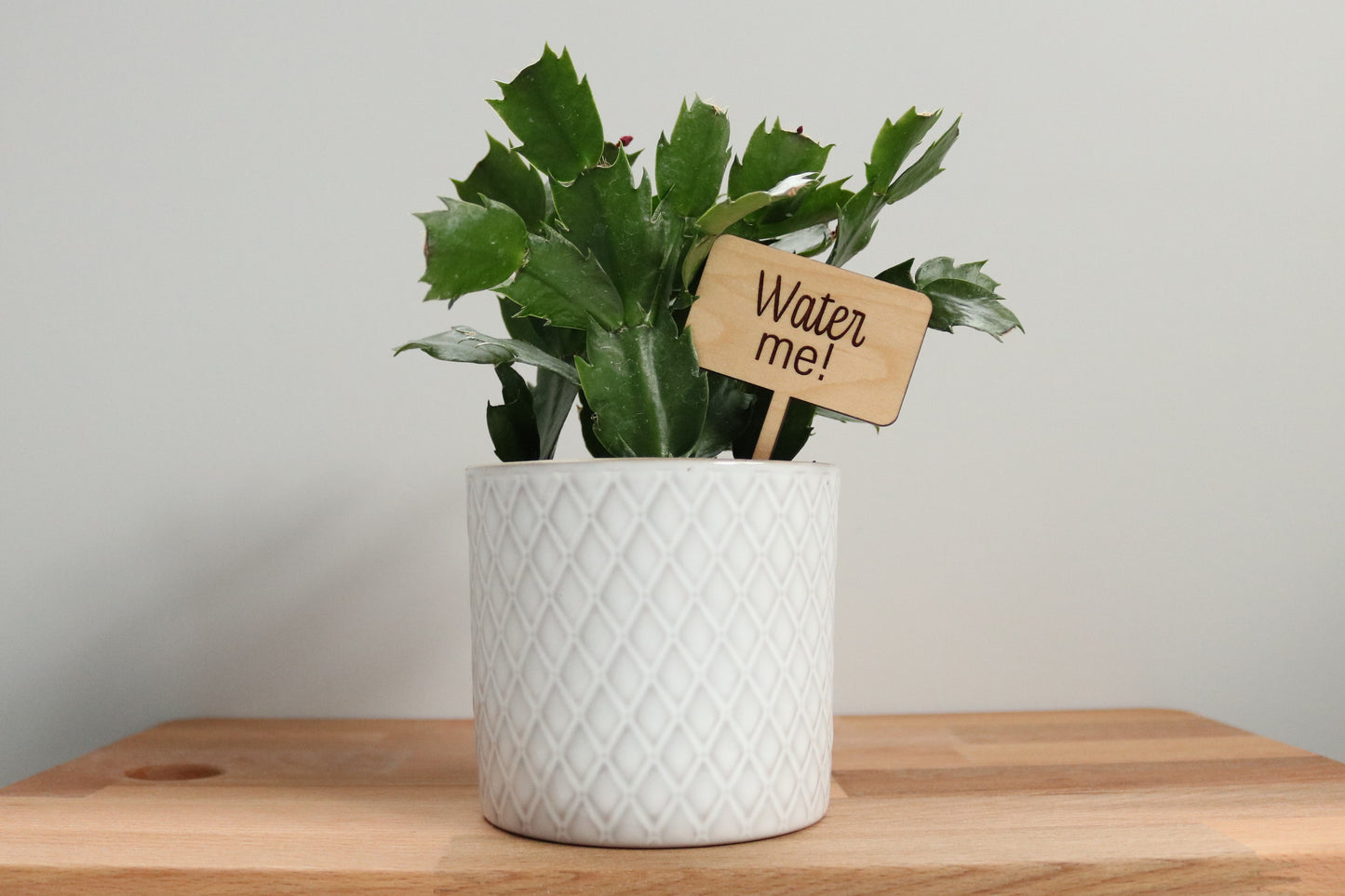 Water Me Plant Marker